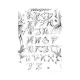 UEO Tattoo Script (80 Pages)