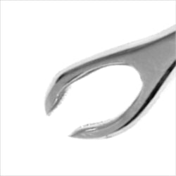 Slotted Standard Tongue Forceps (With Closed Lock)